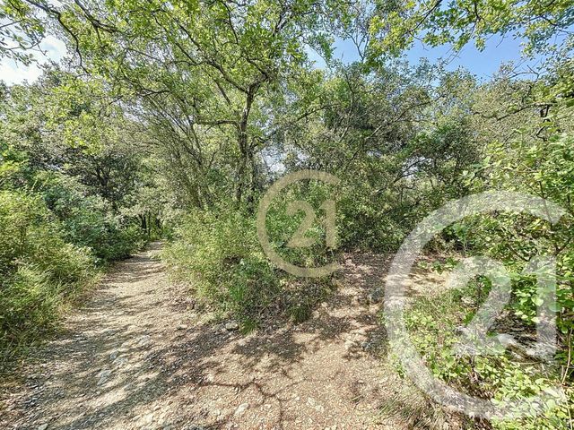 terrain à vendre - 21290.0 m2 - VERS PONT DU GARD - 30 - LANGUEDOC-ROUSSILLON - Century 21 Beven Immobilier