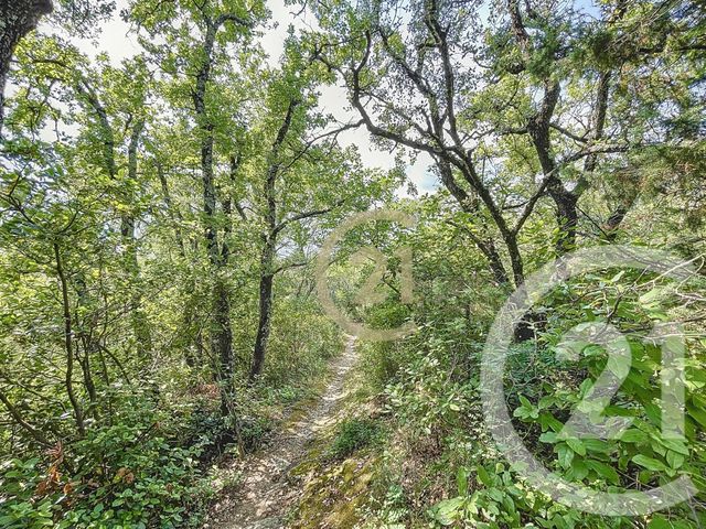 terrain à vendre - 21290.0 m2 - VERS PONT DU GARD - 30 - LANGUEDOC-ROUSSILLON - Century 21 Beven Immobilier