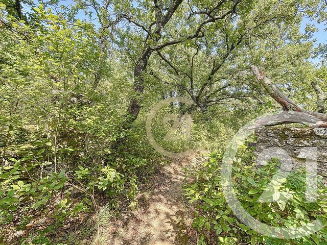 terrain à vendre - 21290.0 m2 - VERS PONT DU GARD - 30 - LANGUEDOC-ROUSSILLON - Century 21 Beven Immobilier