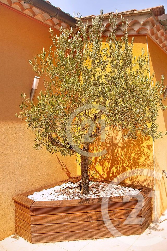 maison à vendre - 7 pièces - 285.44 m2 - BEAUCAIRE - 30 - LANGUEDOC-ROUSSILLON - Century 21 Beven Immobilier