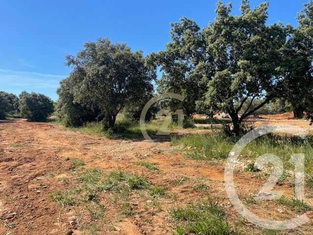 terrain à vendre - 450.0 m2 - ST SIFFRET - 30 - LANGUEDOC-ROUSSILLON - Century 21 Beven Immobilier