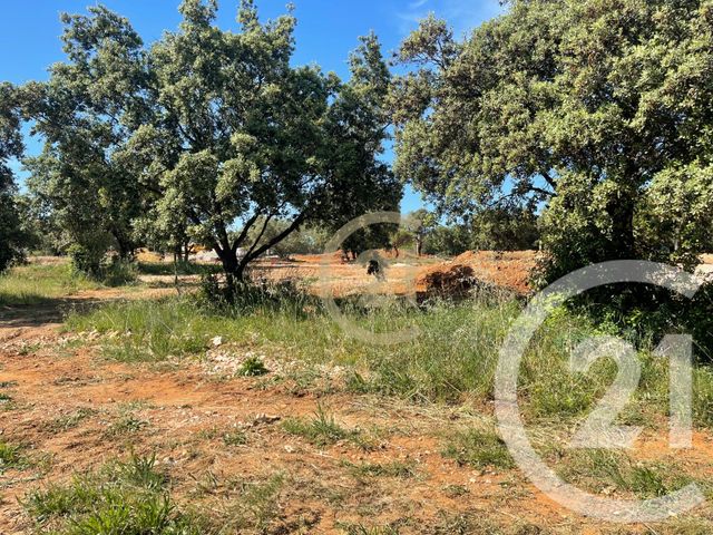 terrain - ST SIFFRET - 30