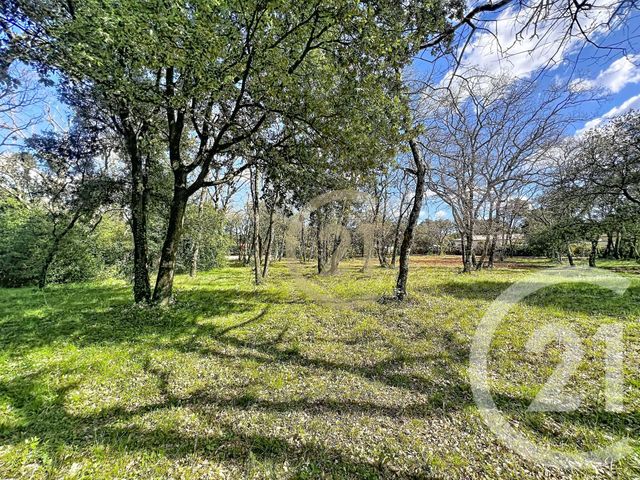 terrain à vendre - 1770.0 m2 - ST SIFFRET - 30 - LANGUEDOC-ROUSSILLON - Century 21 Beven Immobilier