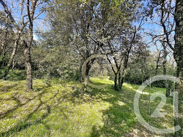terrain à vendre - 1770.0 m2 - ST SIFFRET - 30 - LANGUEDOC-ROUSSILLON - Century 21 Beven Immobilier
