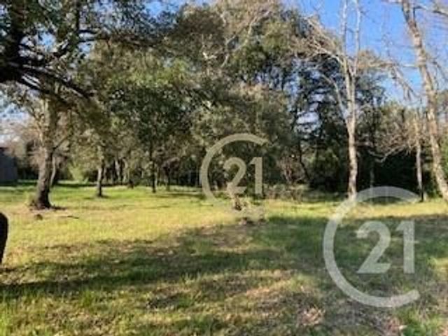 Terrain à vendre ST SIFFRET