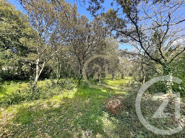 terrain à vendre - 1770.0 m2 - ST SIFFRET - 30 - LANGUEDOC-ROUSSILLON - Century 21 Beven Immobilier